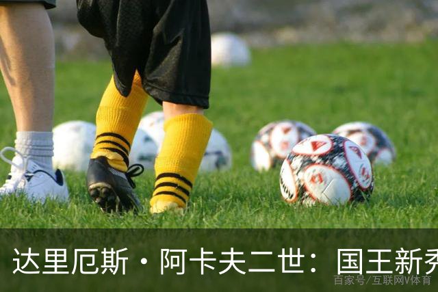 达里厄斯·阿卡夫二世：国王新秀的亮眼表现与球队挑战分析
